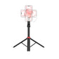 SmallRig Portable Selfie Stick Tripod ST-25 Pro 4731