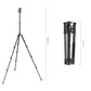 SmallRig Photo Tripod 5630